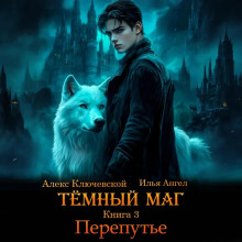 Тёмный маг. Книга 3. Перепутье - Ключевской Алекс, Ангел Илья