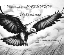 Полёт орла Избранное - Марянин Николай