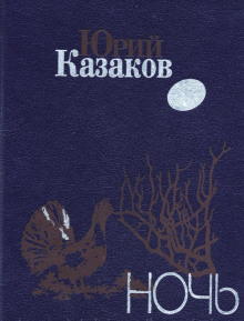 Ночь - Казаков Юрий